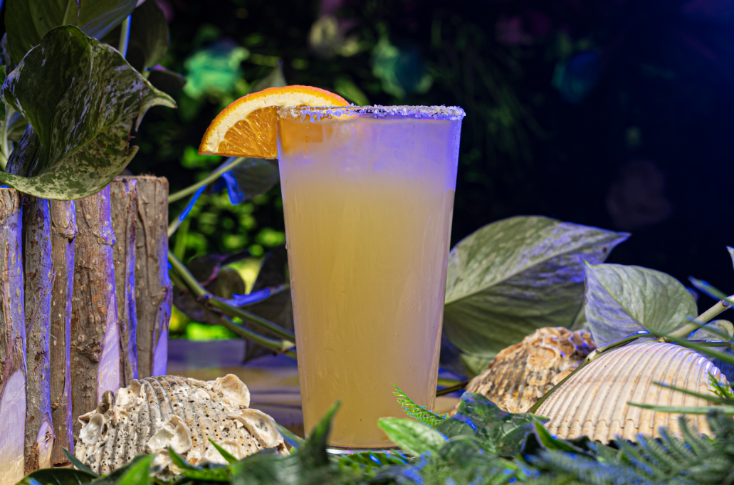 house margarita