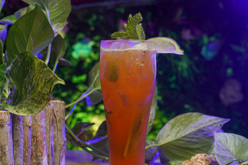mojito