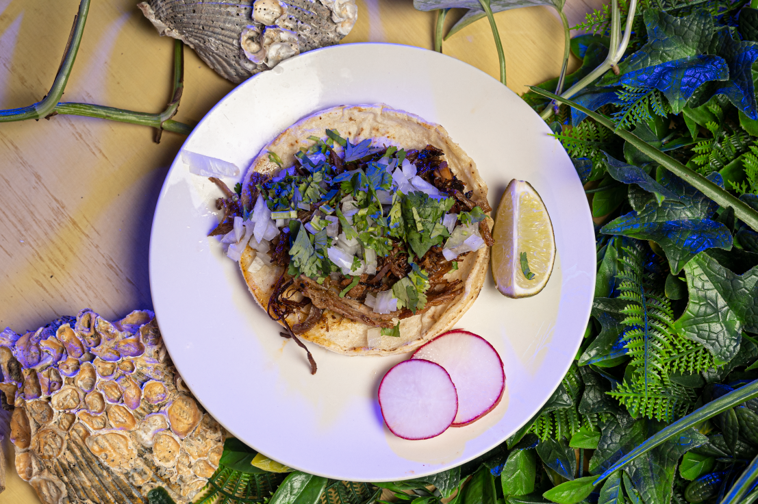 mexican taco