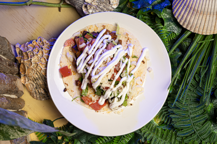 mexican style taco