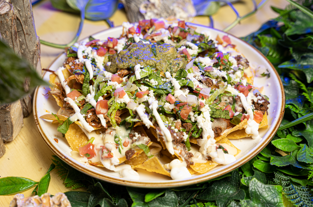 carne asada fries